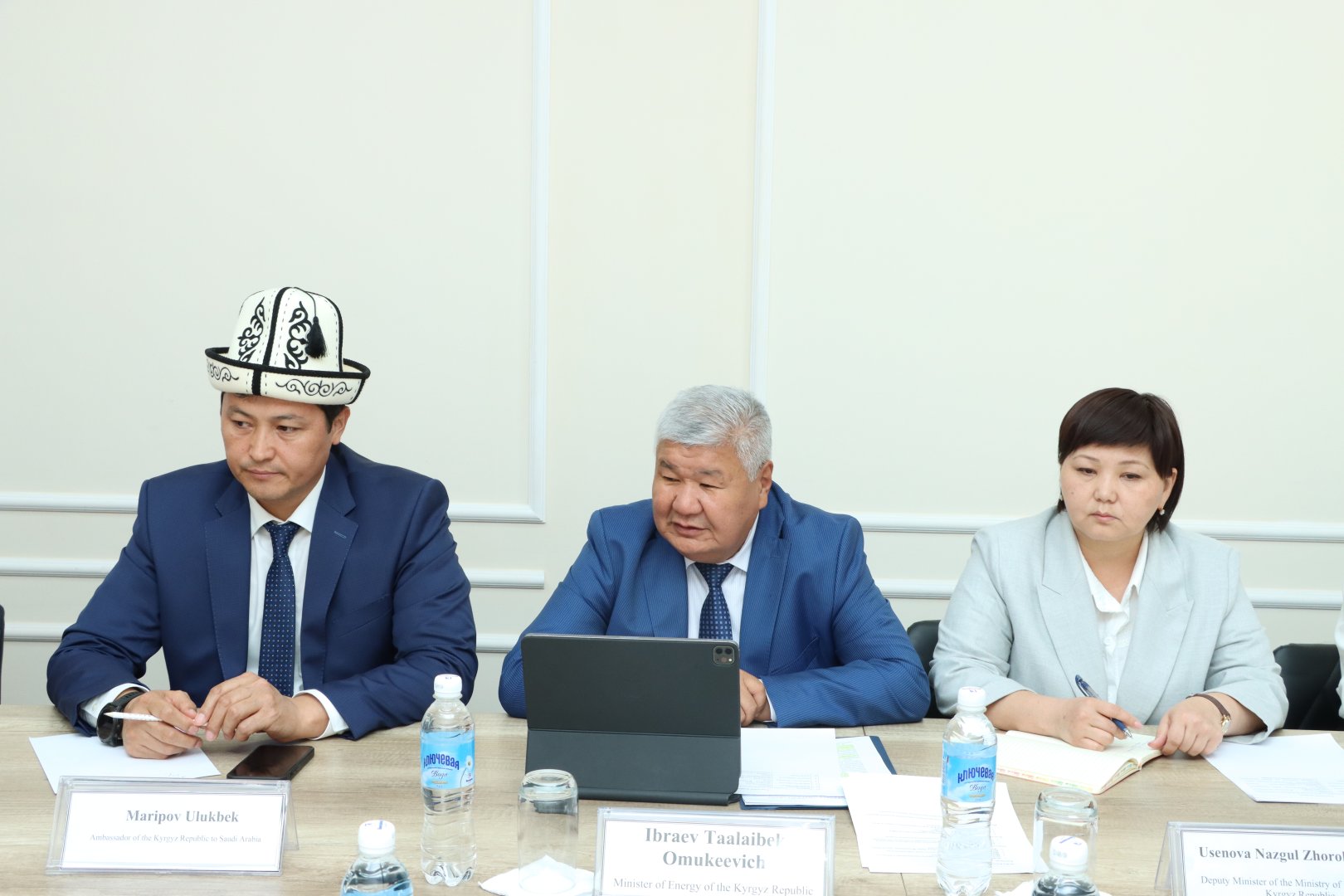 Saudi company to assist Kyrgyzstan with solar panel installation