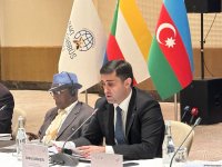 Final declaration on French-occupied Mayotte Island dyes int'l conference in Azerbaijan's Baku (PHOTO)