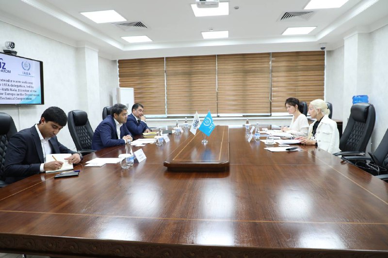 Uzbekistan's UzAtom, IAEA discuss projects aimed at developing nuclear infrastructure