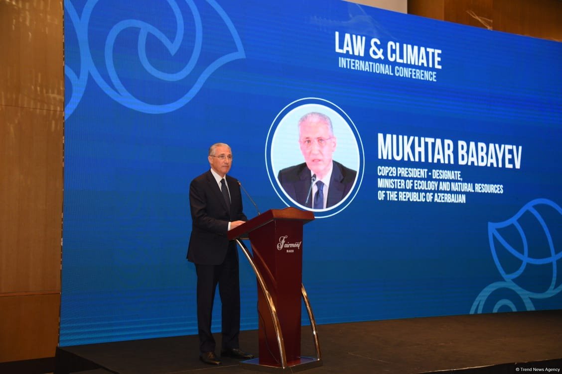 Achieving 1.5°C goal requires effective legal mechanisms - COP29 president