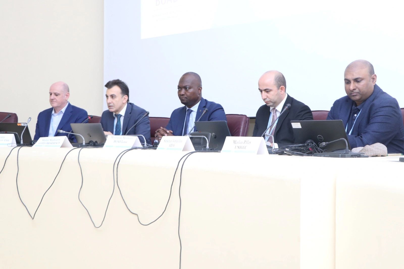 Azerbaijan's COP29 chairs seminars on biennial transparency reports in Togo and Kenya