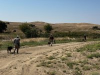 Horadiz kəndinin 80 faizi minalardan təmizlənib (FOTO)