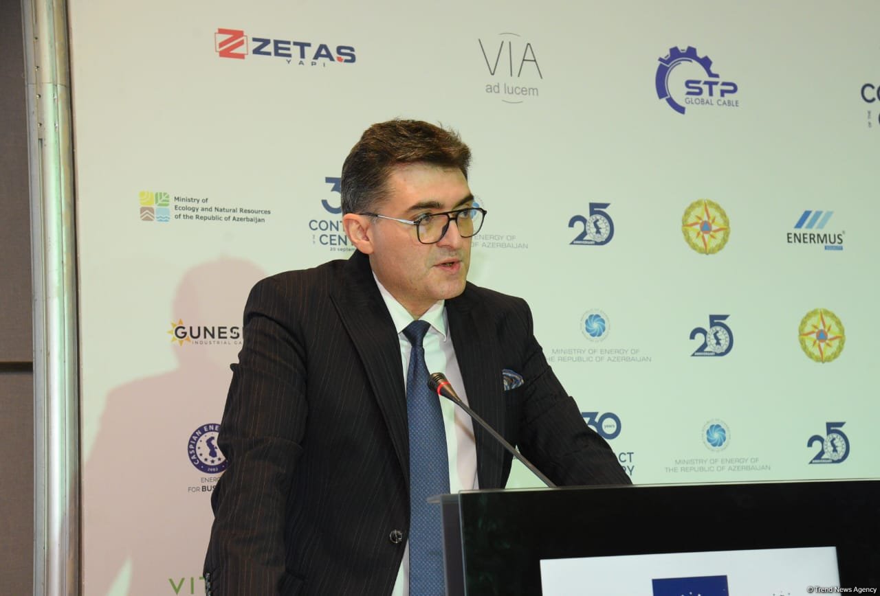 Deputy energy minister unveils Azerbaijan's potential for green energy exports by 2030