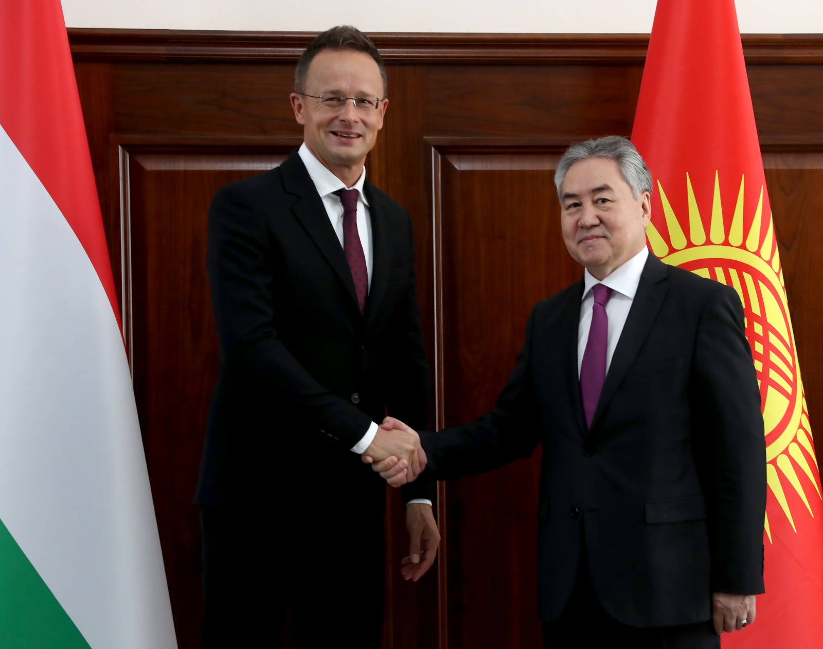 Kyrgyzstan, Hungary discuss investments in  "green" projects