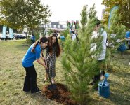 President of Heydar Aliyev Foundation Mehriban Aliyeva, family members participate in tree-planting event in Ganjlik Park (PHOTO)