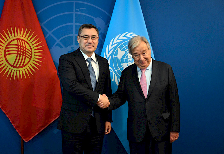 Kyrgyzstan holds potential to become leader in renewable energy initiatives - UN