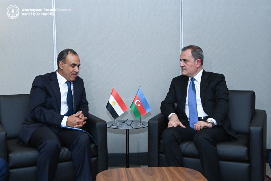 Azerbaijan, Egypt discuss issues of bilateral cooperation