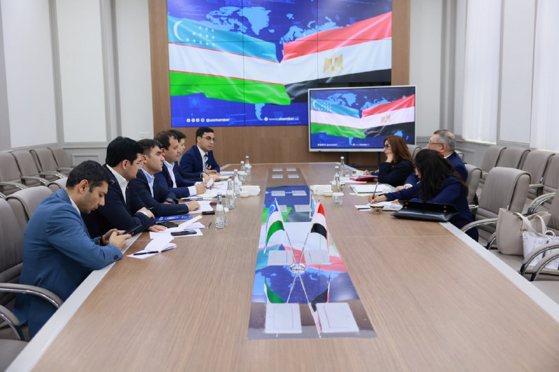 Uzbekistan, Egypt discuss establishment of joint chamber of commerce