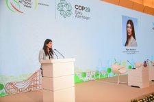 Second day of Climate Action Week wraps up in Azerbaijan's Baku (PHOTO)