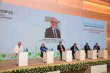 Second day of Climate Action Week wraps up in Azerbaijan's Baku (PHOTO)