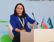 Second day of Climate Action Week wraps up in Azerbaijan's Baku (PHOTO)