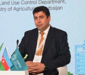 Second day of Climate Action Week wraps up in Azerbaijan's Baku (PHOTO)