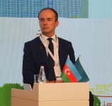 Second day of Climate Action Week wraps up in Azerbaijan's Baku (PHOTO)