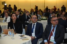 Second day of Climate Action Week wraps up in Azerbaijan's Baku (PHOTO)