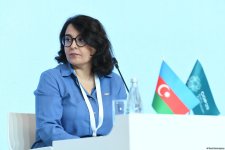 Second day of Climate Action Week wraps up in Azerbaijan's Baku (PHOTO)