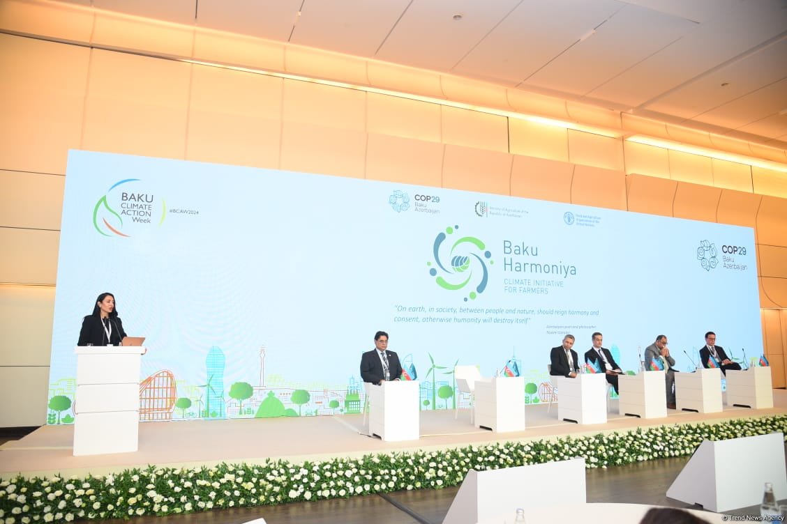 Second day of Climate Action Week wraps up in Azerbaijan's Baku (PHOTO)