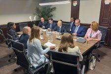 Azerbaijan brainstorms COP29-framed green partnership with EU, UK in Brazil (PHOTO)