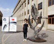 The 2024 Baku Steel Art Final Compositions (PHOTO)