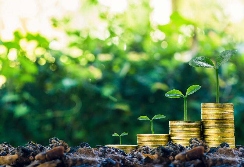 Global green finance on rise – Azerbaijan champions legal framework to encourage green financing