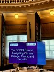 В Лондоне прошел круглый стол на тему "COP29: Изменение климата, мир и безопасность" (ФОТО)