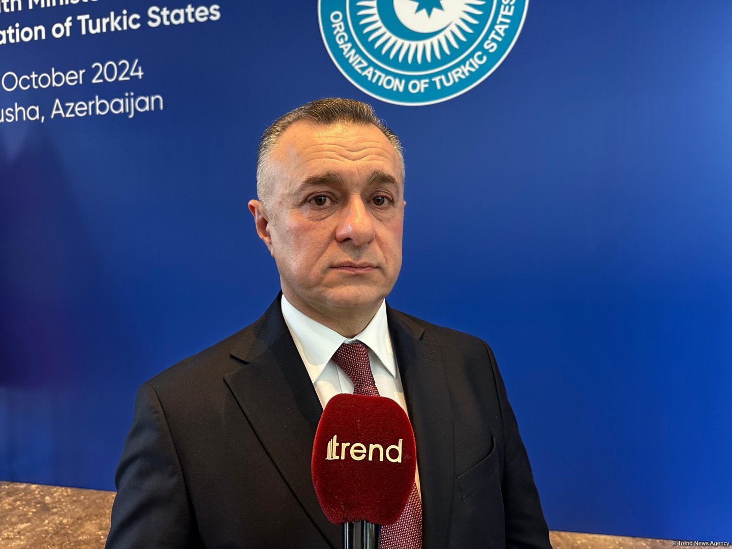 Azerbaijan proposes establishment of "Türktransplant" information system - minister