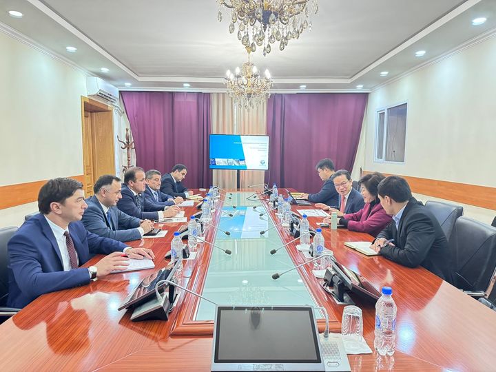 Tajikistan, South Korea view progress on raising solar panel plant in Dangara FEZ