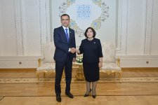 Azerbaijan, Kazakhstan discuss interparliamentary relations (PHOTO)