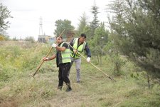 Xaçmazda “Yaşıllaşdırma Marafonu” davam edir (FOTO)