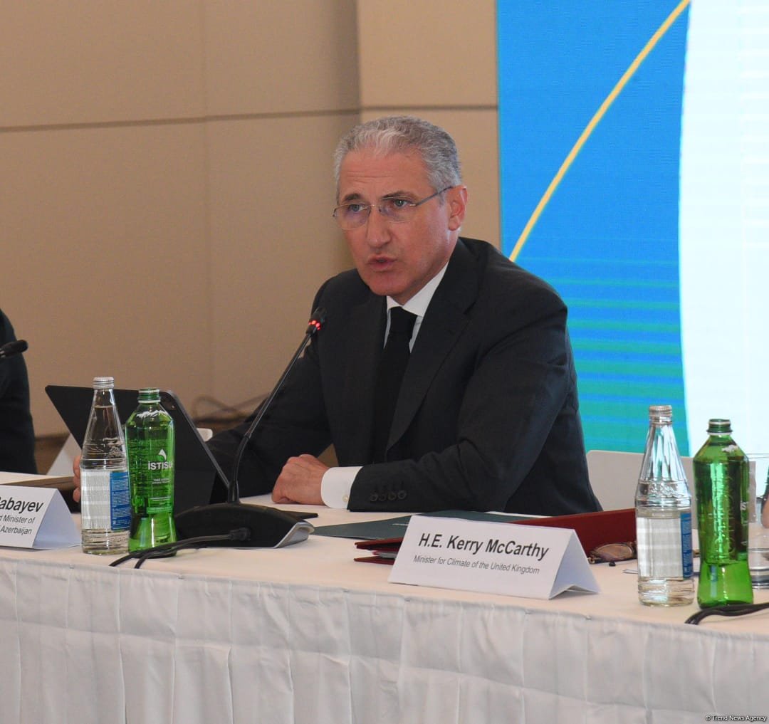 Azerbaijan strives to reel in all sources for climate finance - minister