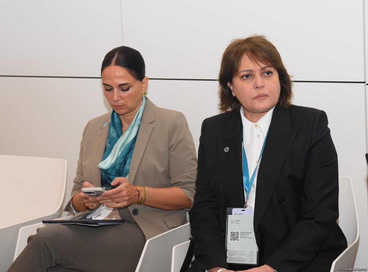 Azerbaijan's Baku hosts second day of Pre-COP29 (PHOTO)