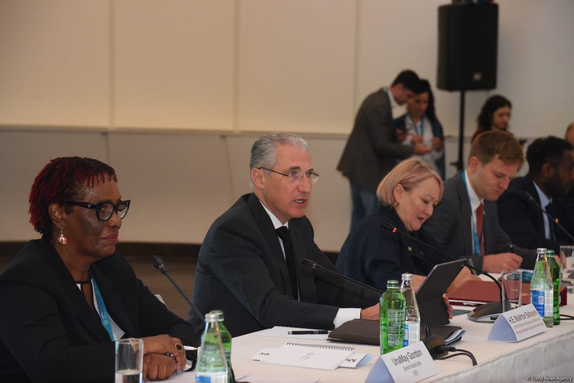 Azerbaijan's Baku hosts second day of Pre-COP29 (PHOTO)