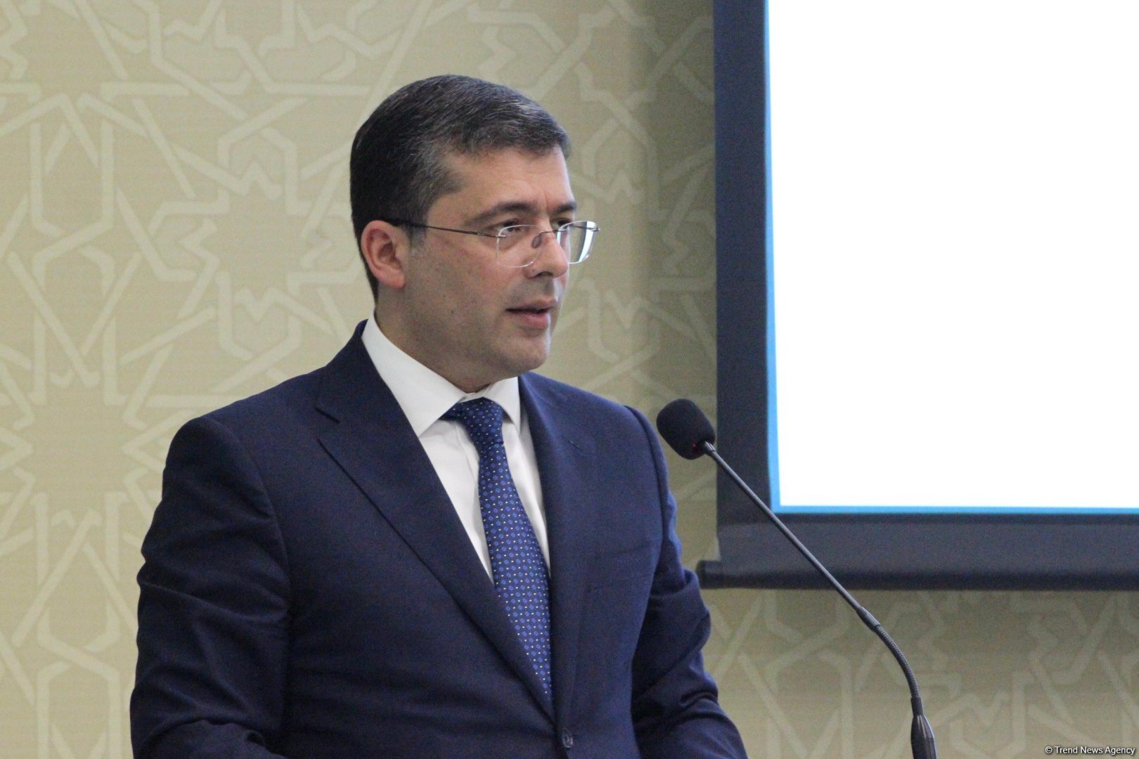 Preventing info space pollution in Azerbaijan ranking among crucial challenges - official