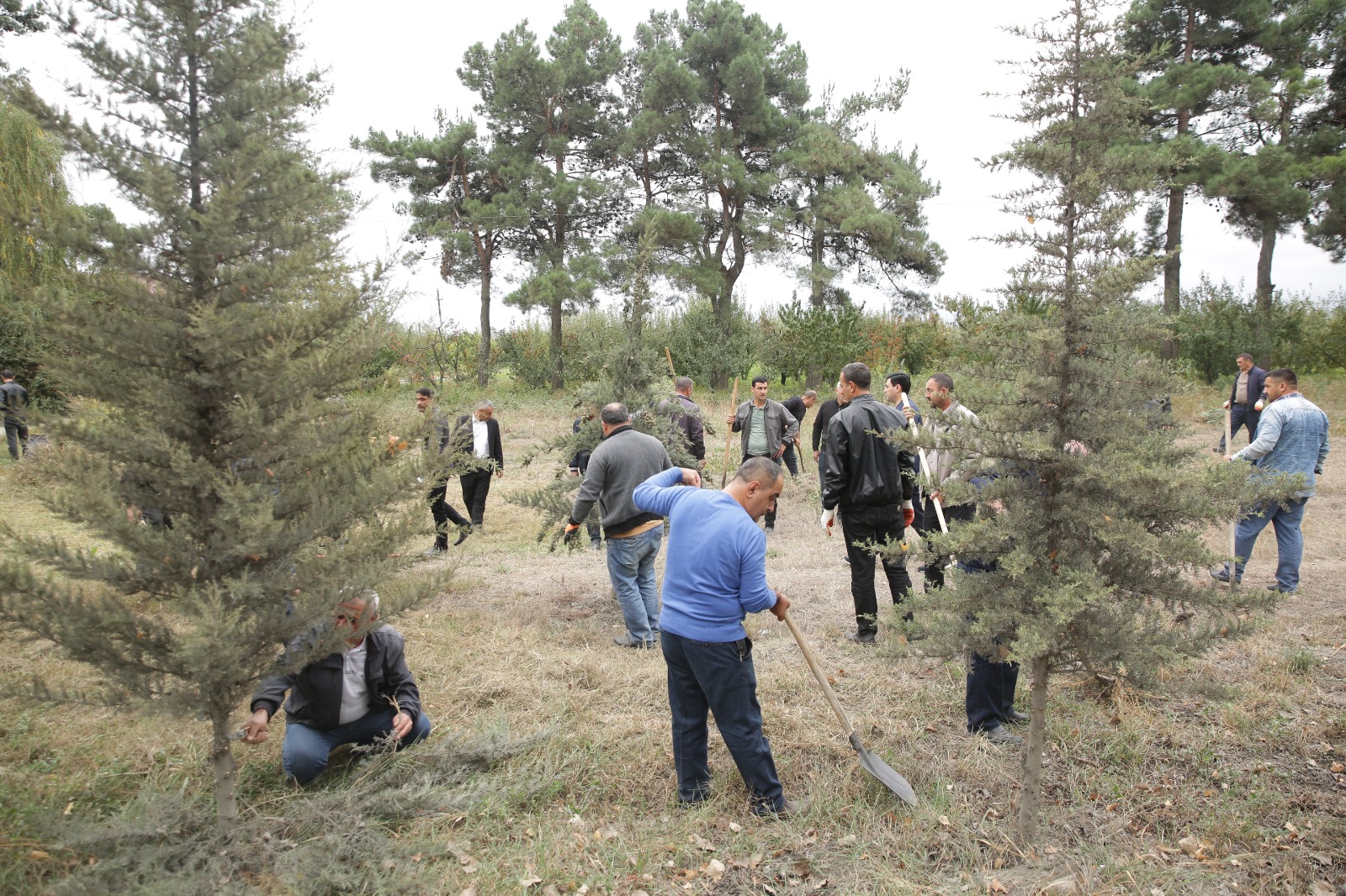 Xaçmazda “Yaşıllaşdırma Marafonu” davam edir (FOTO)