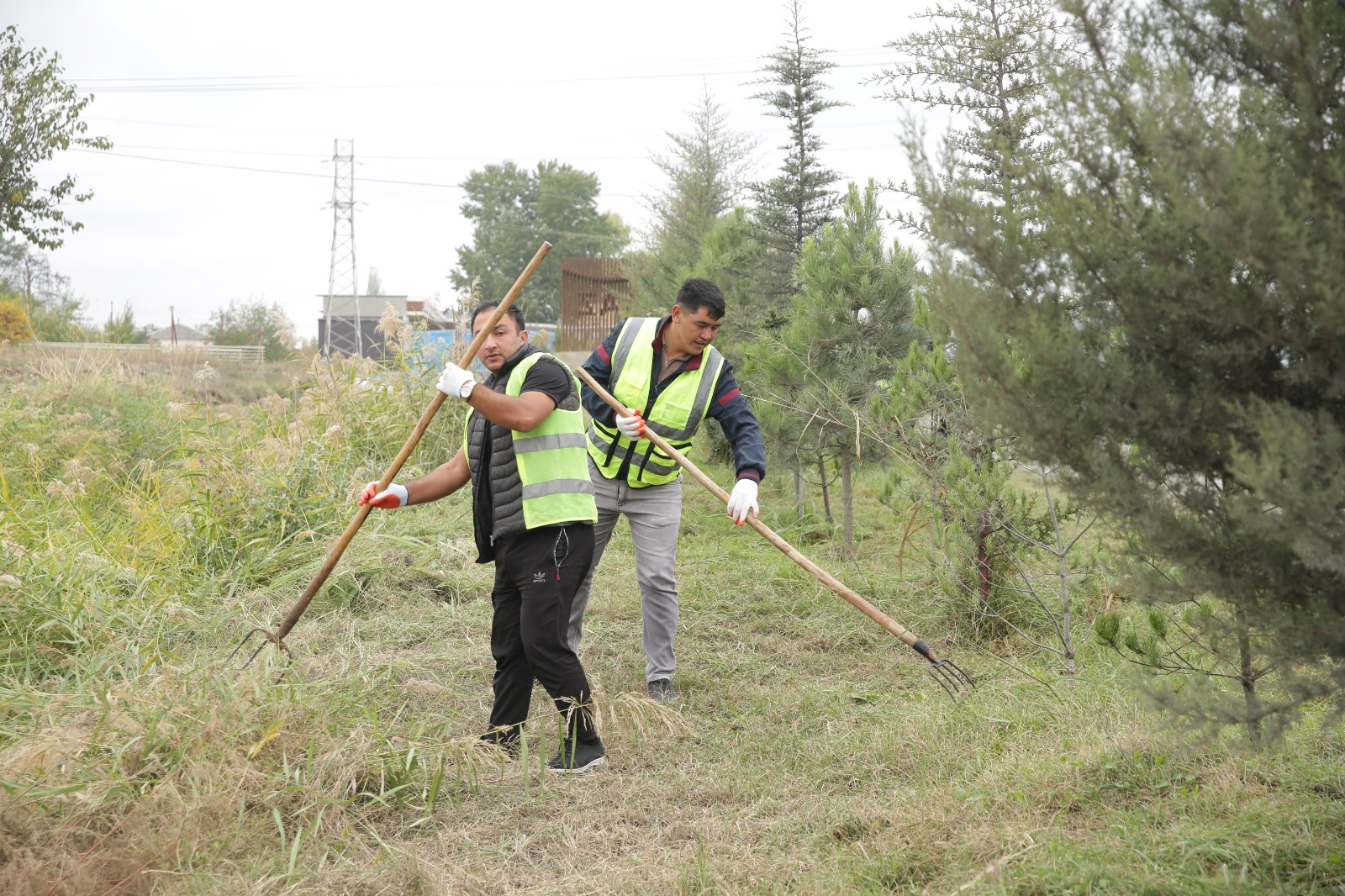 Xaçmazda “Yaşıllaşdırma Marafonu” davam edir (FOTO)