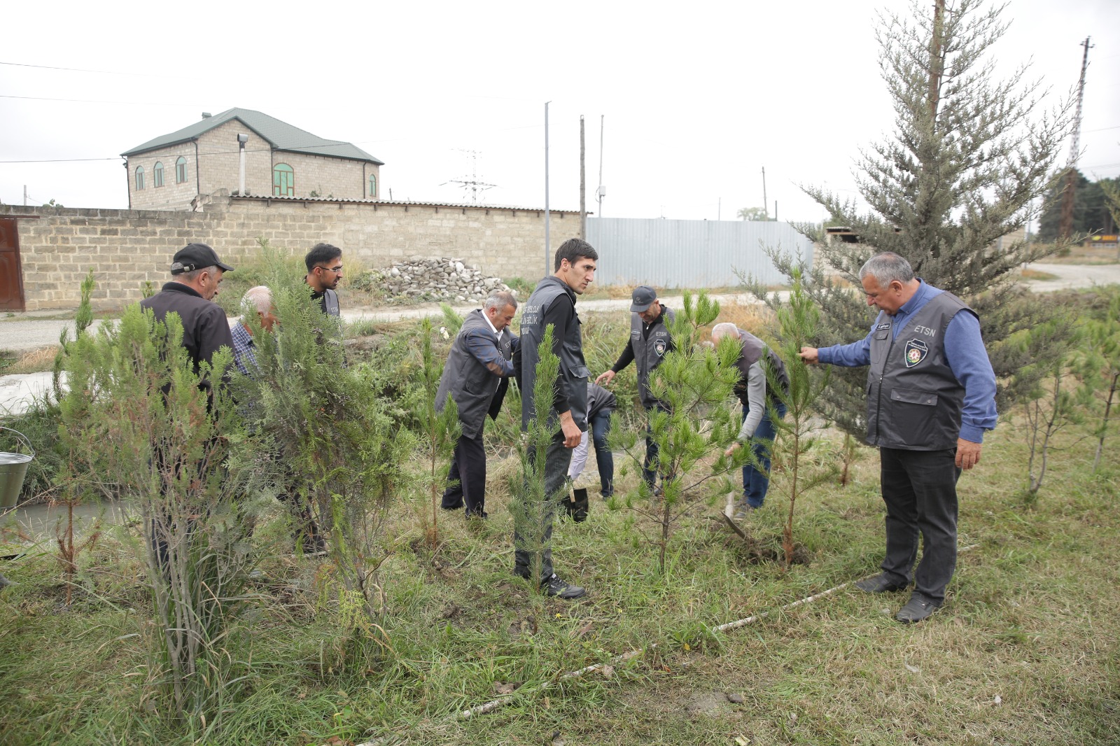 Xaçmazda “Yaşıllaşdırma Marafonu” davam edir (FOTO)