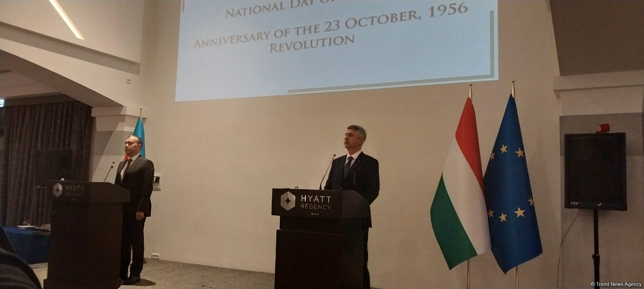 Azerbaijan hosts 26 companies with Hungarian capital - minister