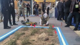 Azerbaijani ANAMA shows demining process to Caspian Construction Week participants (PHOTO)