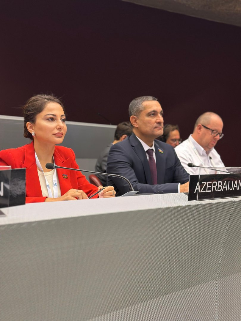 Sustainability and peace are two pillars defining brighter future for all - Azerbaijani MP (PHOTO)