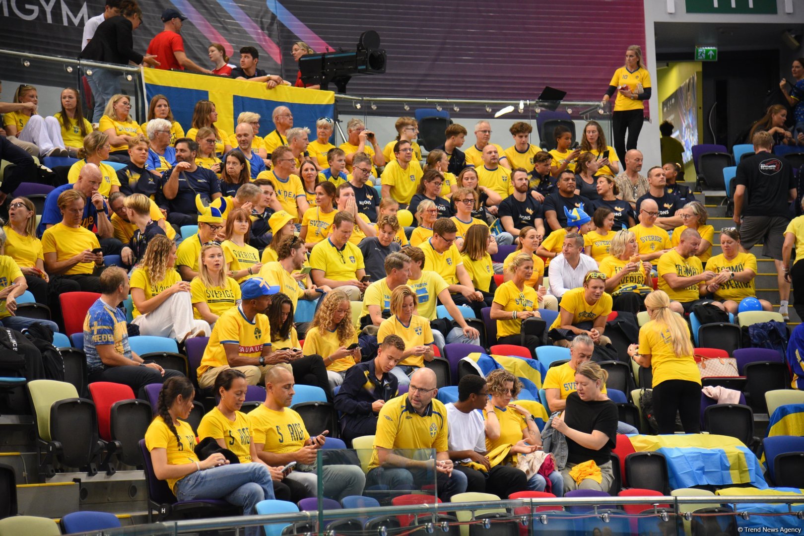 Bakıda ilk dəfə “TeamGym” üzrə Avropa  çempionatına start verilib (FOTO)