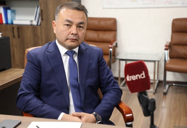 Uzbekistan, Azerbaijan, Kazakhstan to form green energy company - deputy minister (Exclusive interview) (PHOTO)