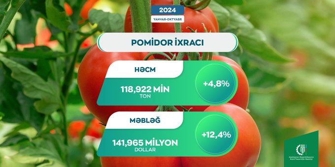 Bu il Azərbaycandan xarici bazarlara 142 milyon dollar dəyərində pomidor ixrac olunub