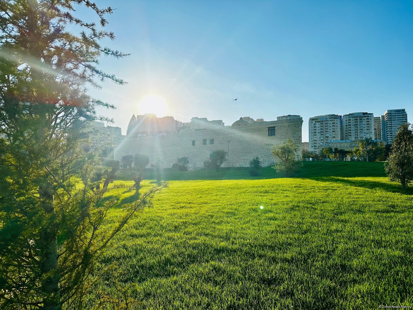 Keçmiş “Sovetski”də salınan parkdan FOTOSESSİYA