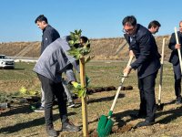 Füzulidə Zəfər Günü ilə əlaqədar ağacəkmə aksiyası keçirilib (FOTO)