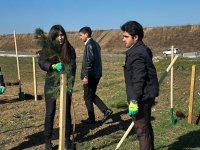 Füzulidə Zəfər Günü ilə əlaqədar ağacəkmə aksiyası keçirilib (FOTO)