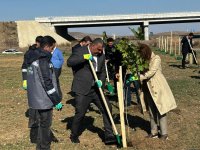 Füzulidə Zəfər Günü ilə əlaqədar ağacəkmə aksiyası keçirilib (FOTO)