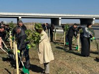 Füzulidə Zəfər Günü ilə əlaqədar ağacəkmə aksiyası keçirilib (FOTO)