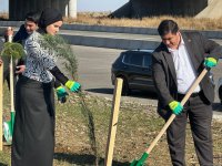 Füzulidə Zəfər Günü ilə əlaqədar ağacəkmə aksiyası keçirilib (FOTO)