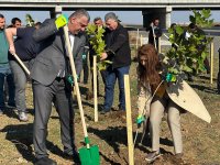 Füzulidə Zəfər Günü ilə əlaqədar ağacəkmə aksiyası keçirilib (FOTO)