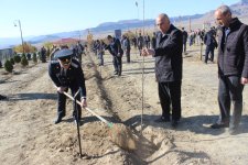 Ordubadda növbəti ağacəkmə aksiyası keçirilib (FOTO)