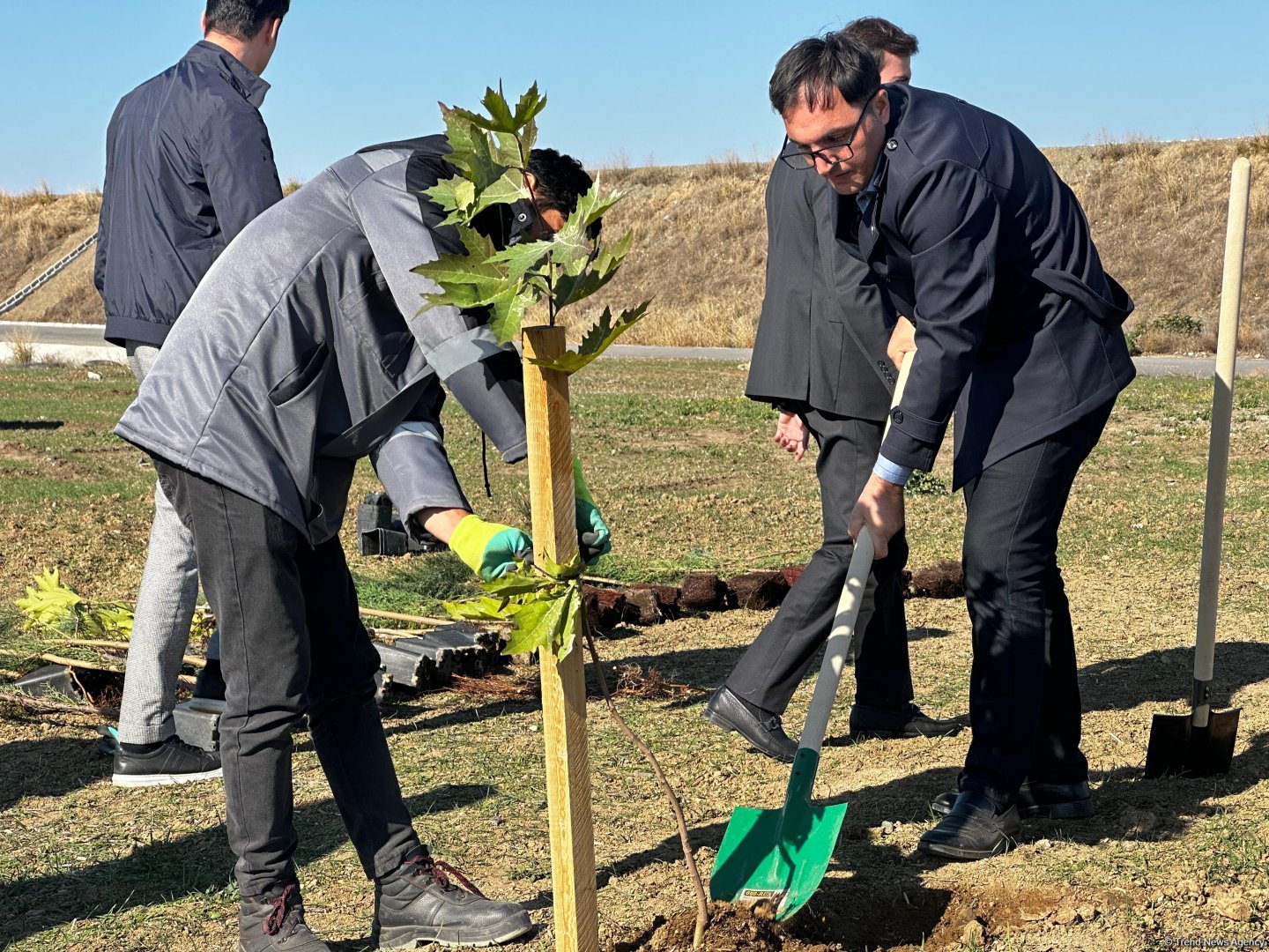 Füzulidə Zəfər Günü ilə əlaqədar ağacəkmə aksiyası keçirilib (FOTO)